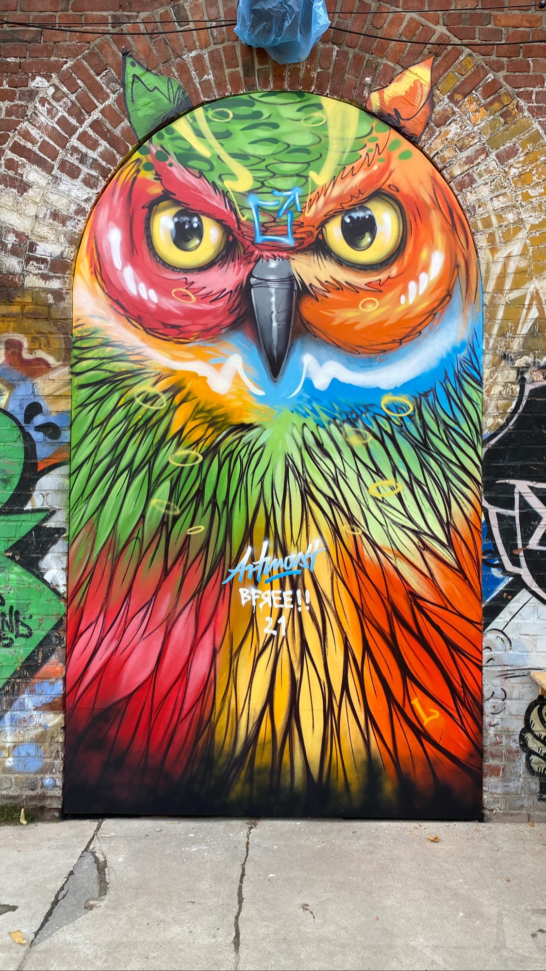 artmos4-graffitiauftrag-graffitikuenstler_Bfree_Berlin_2021_Eule_Tier_aussen_bunt