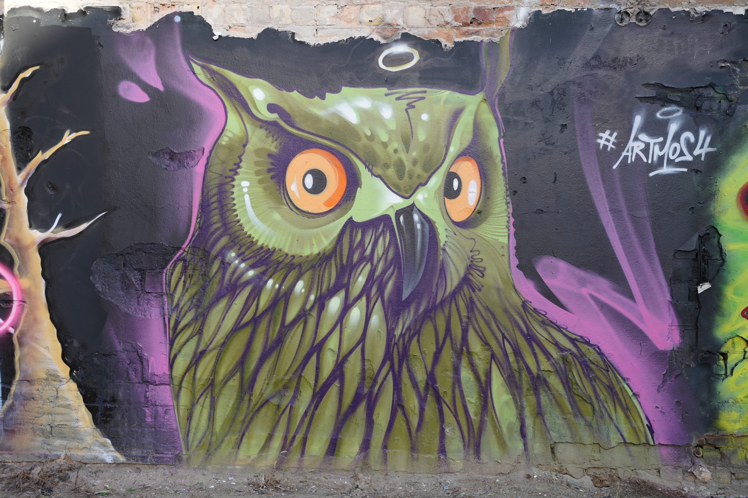 artmos4-graffitiauftrag-graffitikuenstler_Freie_Artbeit_2021_eule_kunst_graffiti_tier_vogel