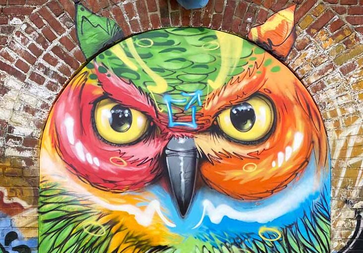 artmos4-graffitiauftrag-graffitikuenstler-BeFree_Berlin_2021_Eule_Tier_bunt_Kunst