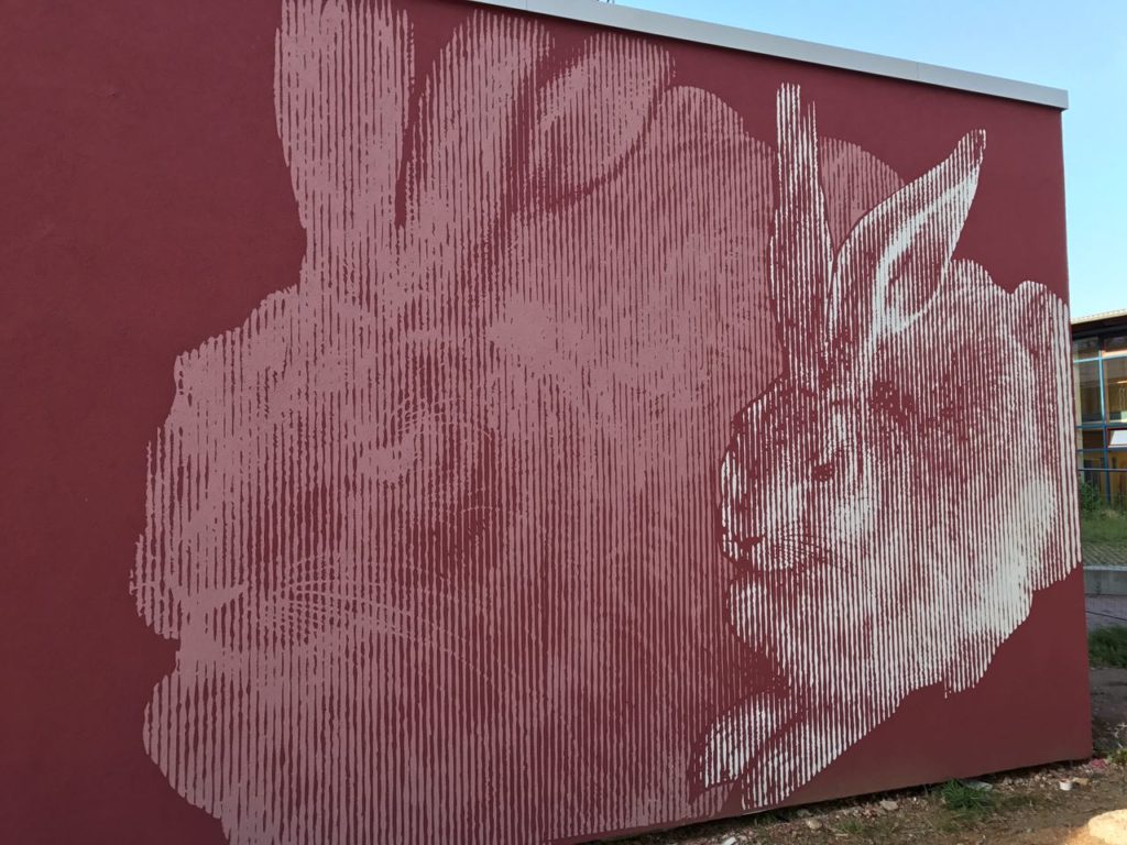 graffitiauftrag-graffiti-dadi-werkalbrecht-duerer-schule-weiterstadt-tiere