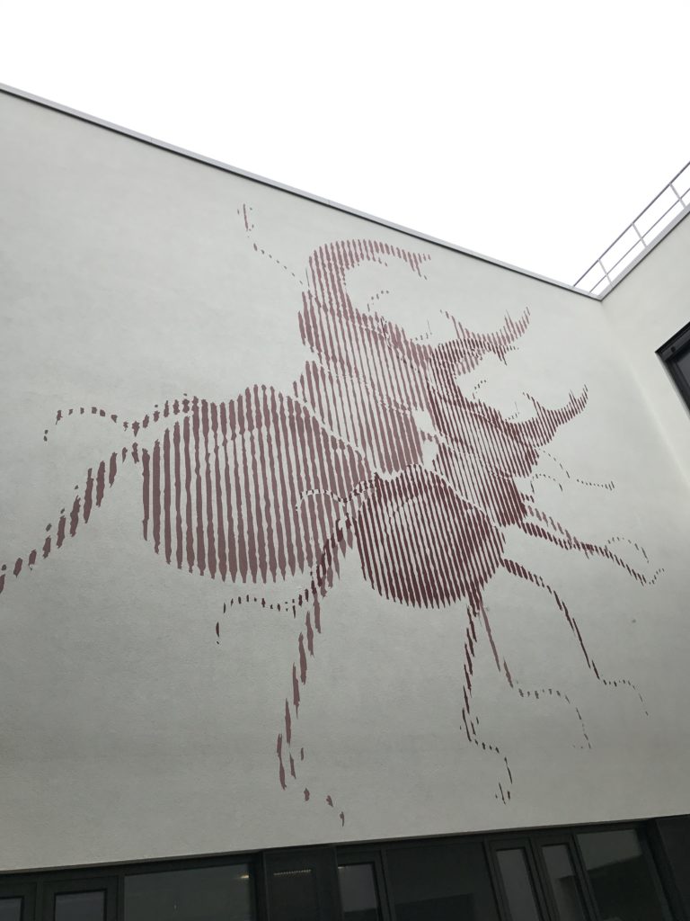 graffitiauftrag-graffiti-dadi-werkalbrecht-duerer-schule-weiterstadt-tiere