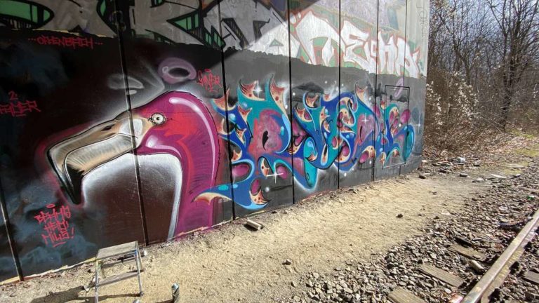 graffitiauftrag_graffitikuenstler_artmos4_BFree_Privat_Berlin_2021_Graffiti_Tier_Flamingo_pink_blau_Kunst_Graffiti_privat_12