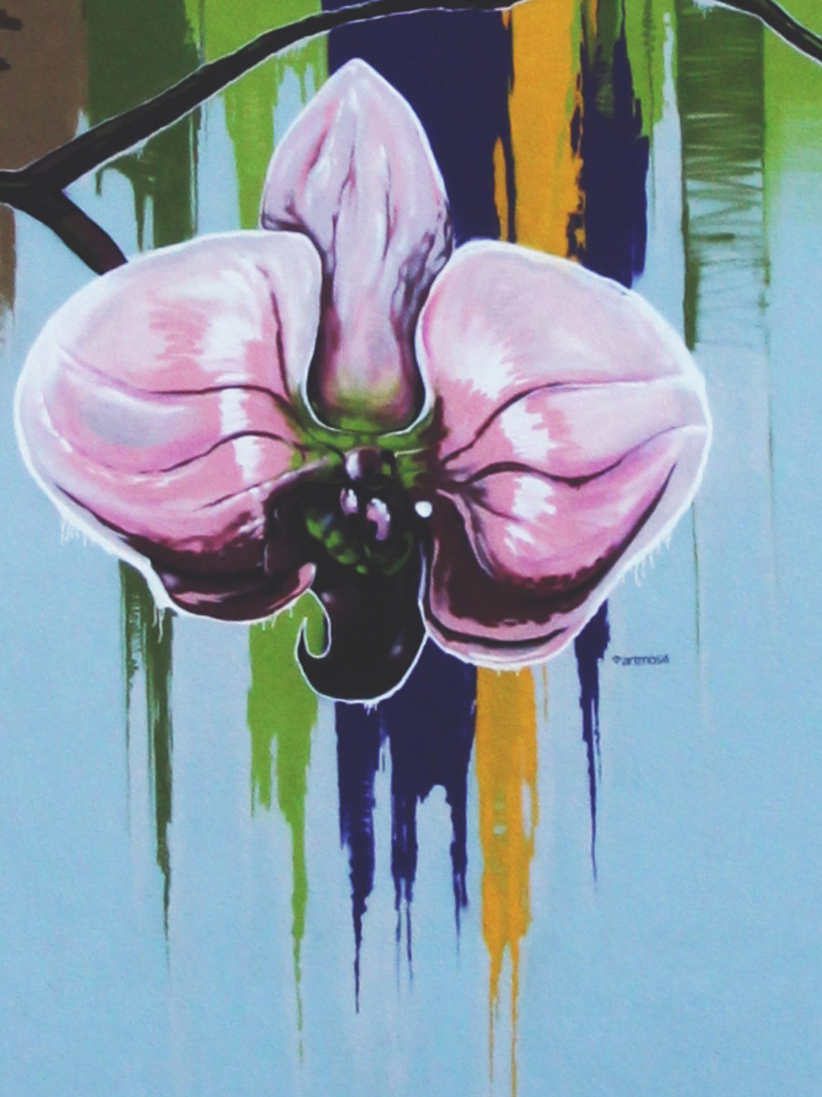 graffitiauftrag_graffitikuenstler_artmos4_bgo_pflanzen_bunt_architektur graffitiauftrag_graffitikuenstler_artmos4_bgo_pflanzen_bunt_architektur