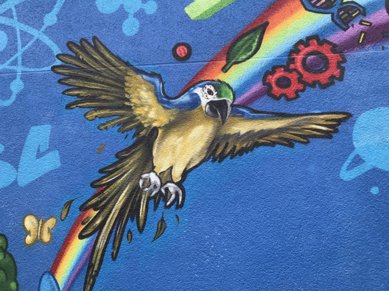 graffitiauftrag-graffitikuenstler-artmos4-bosch-tier-schule-bunt-gelb-blau-comic-aussen