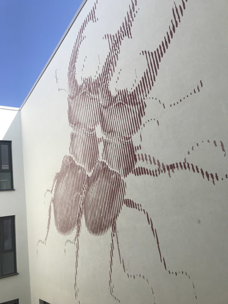 graffitiauftrag-graffitikuenstler-artmos4-da-di-werk-albrecht-duerer-schule-kaefer-insekt-tier-aussen-illustrativ-folie-rot-weiss