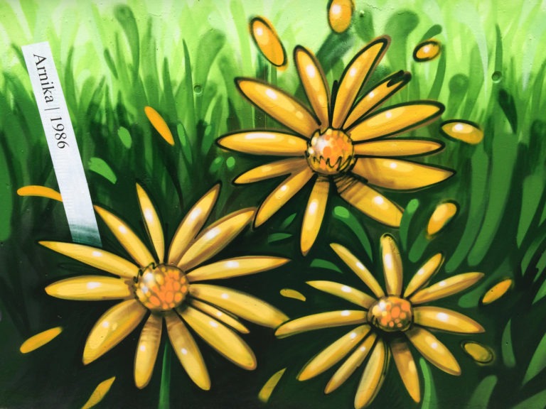 Graffitikuenstler, Graffitiauftrag, Artmos4, DeutscheBahn, Pflanzen, illustrativ