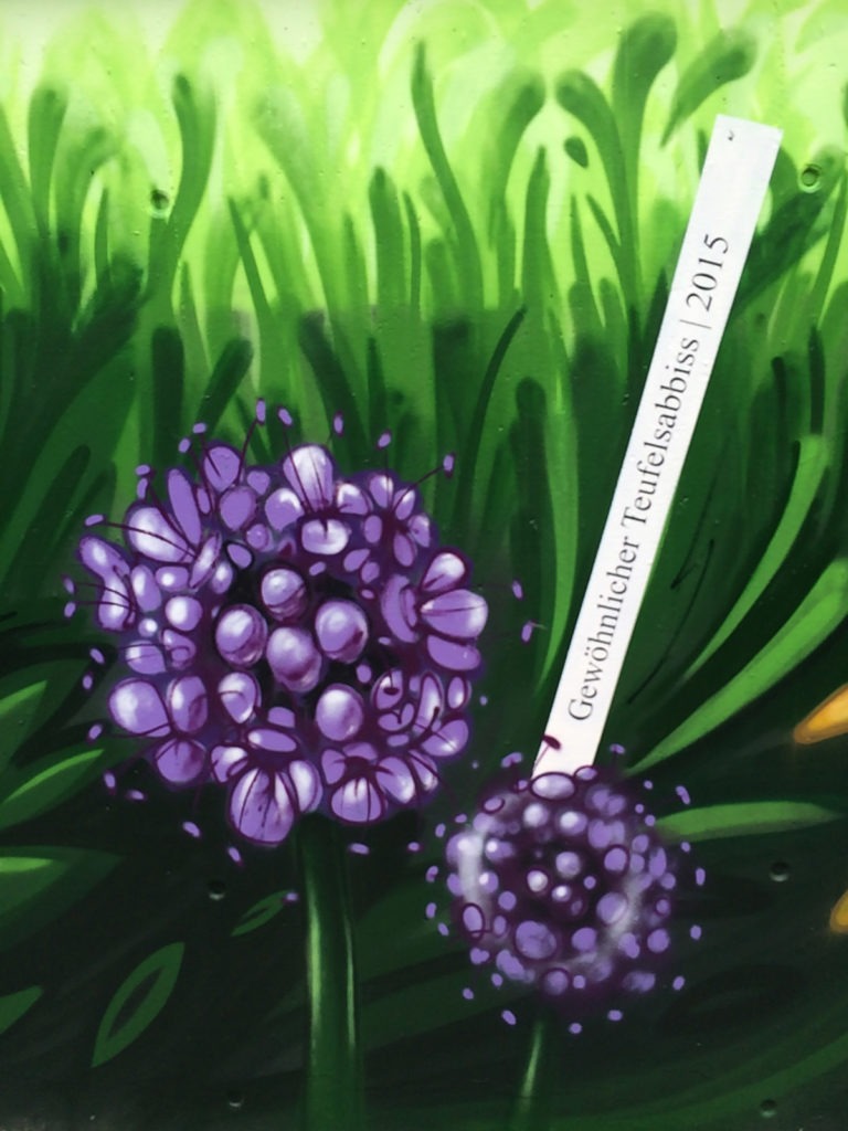 Graffitikuenstler, Graffitiauftrag, Artmos4, DeutscheBahn, Pflanzen, illustrativ