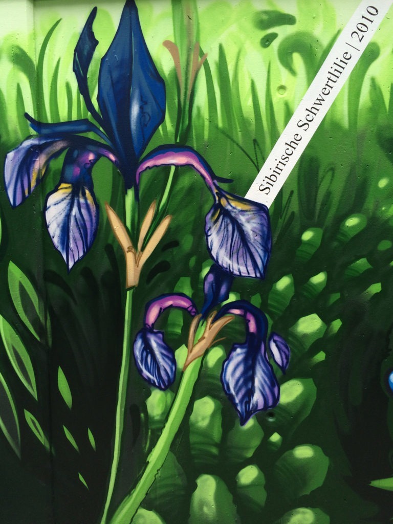 Graffitikuenstler, Graffitiauftrag, Artmos4, DeutscheBahn, Pflanzen, illustrativ