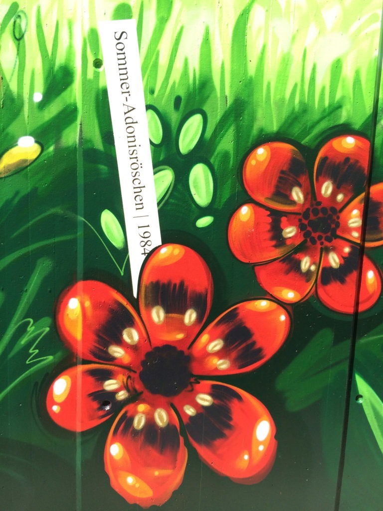 Graffitikuenstler, Graffitiauftrag, Artmos4, DeutscheBahn, Pflanzen, illustrativ