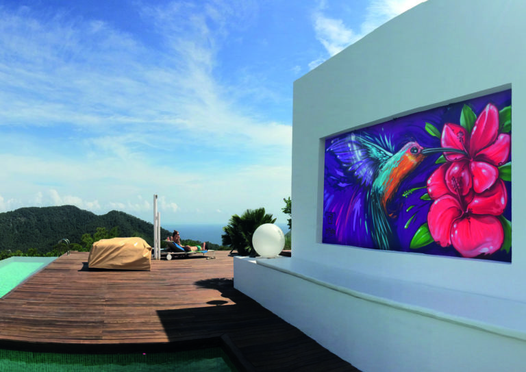 graffitiauftrag-graffitikuenstler-artmos4-finka-privat-aussen-ibiza-vogel-tier-kolibri-kunst-bunt-pflanzen
