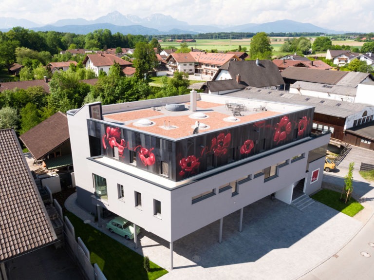 graffitiauftrag-graffitikuenstler-artmos4-kleinert-surheim-aussen-illustrativ-kunst-pflanze-mohnblume-rot-schwarz