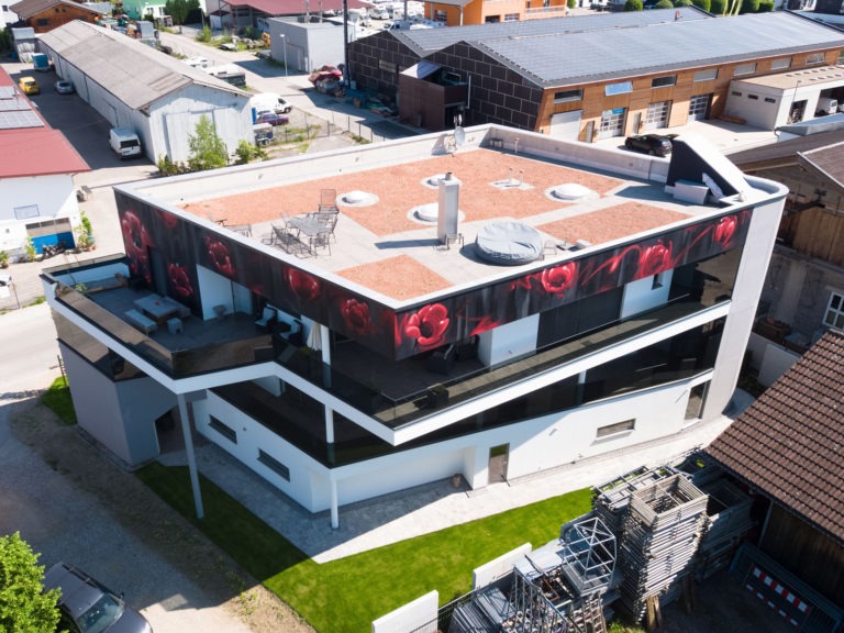 graffitiauftrag-graffitikuenstler-artmos4-kleinert-surheim-aussen-illustrativ-kunst-pflanze-mohnblume-rot-schwarz