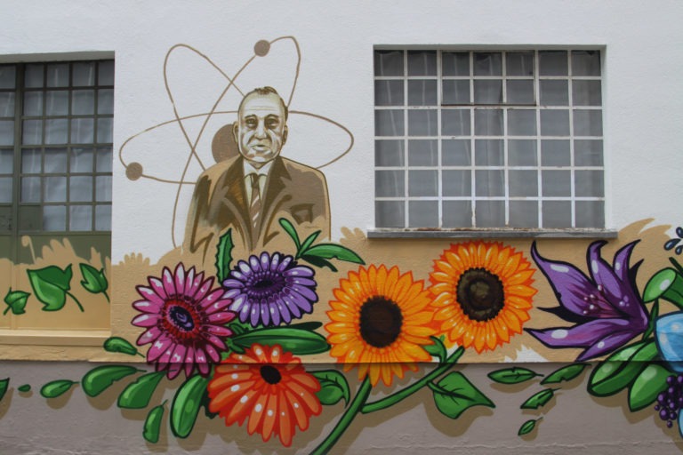 Graffitikuenstler, Graffitiauftrag, Artmos4, Kleinmarkthalle, Comic