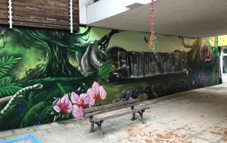 jungle, faultier, orchideen, wasserfall, tukan, schlange