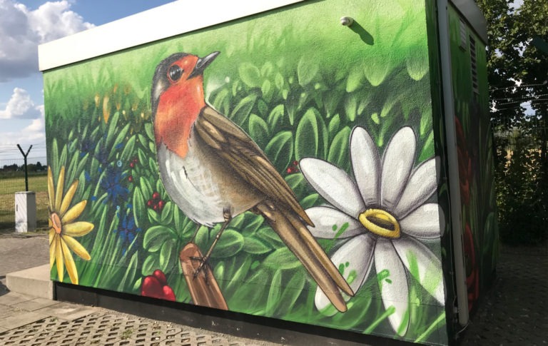 rotkehlchen, wiese, blumen