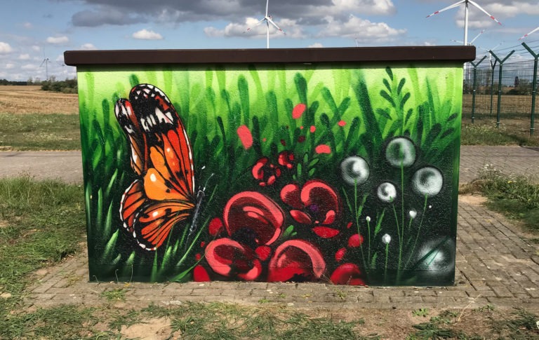 schmetterling, wiese, blumen