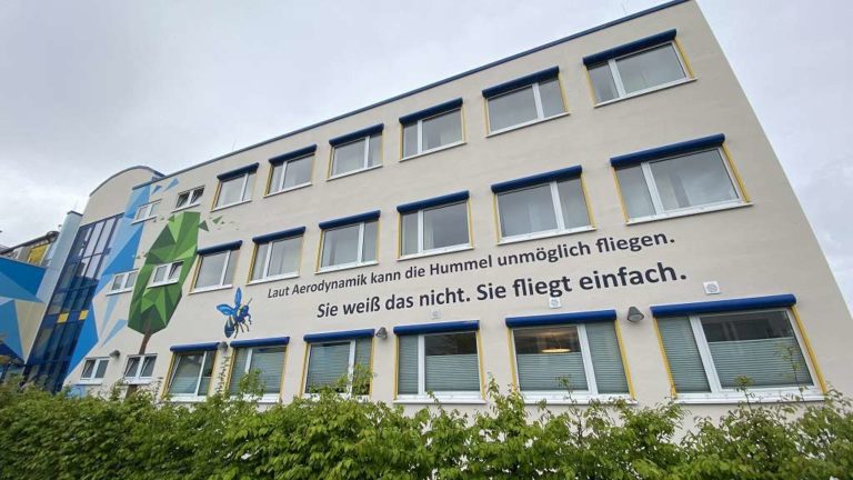 graffitiauftrag_graffitikuenstler_artmos4_Maingau_2022_Tier_Schrift_Auto_Fahrzeug_Globus_Hummel_Folie_grafisch_aussen_04