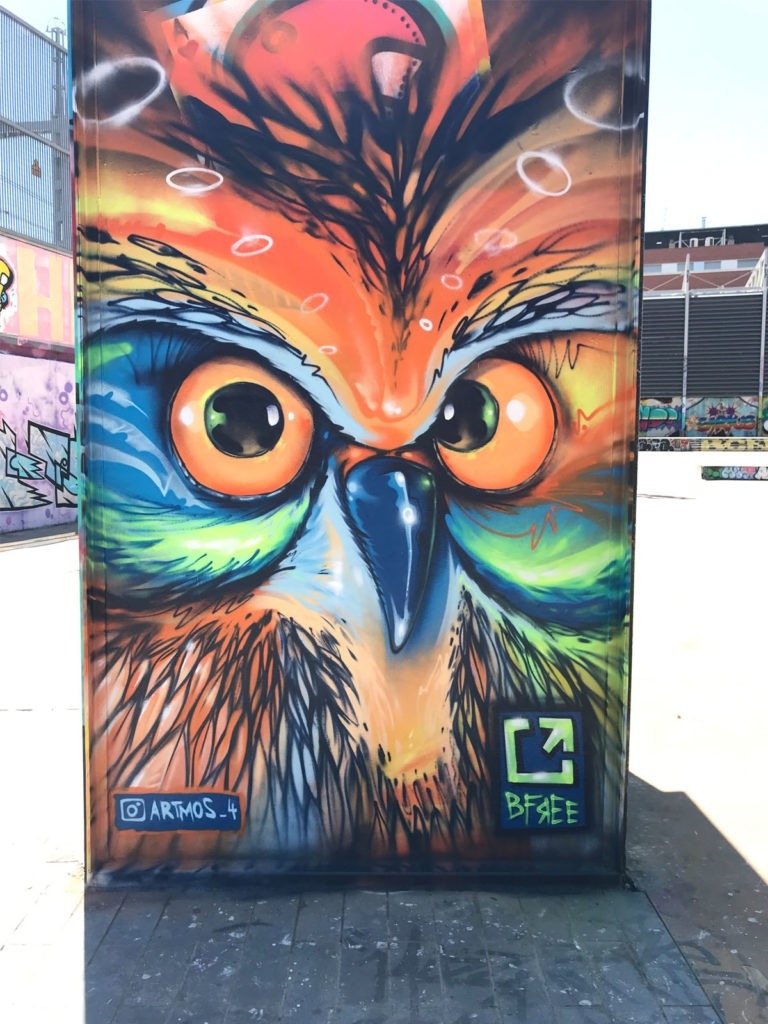 eule, ibiza, grosse, augen,