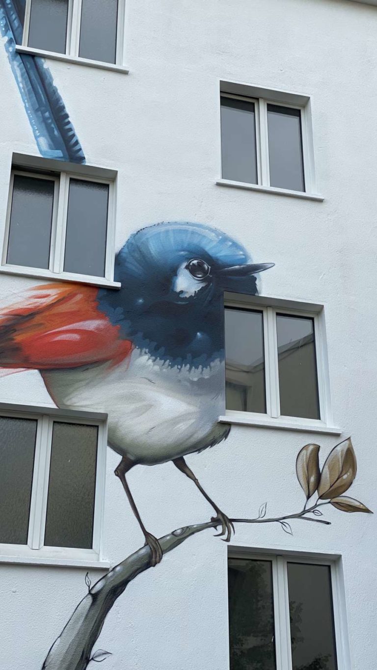 graffitiauftrag-graffitikuenstler-artmos4-Projekt_2_Architekten_2021_Vogel_Tier_Meise_aussen_bunt_graffiti_Immobilien_05