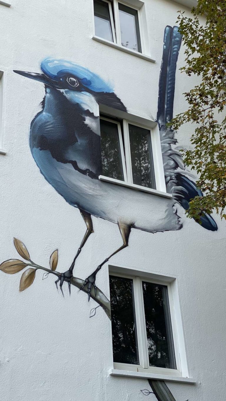 graffitiauftrag-graffitikuenstler-artmos4-Projekt_2_Architekten_2021_Vogel_Tier_Meise_aussen_bunt_graffiti_Immobilien_08