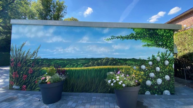 graffitiauftrag-graffitikuenstler-artmos4-Spieß_privat_Natur_floral_2020_natur_landschaft_pflanzen_wiese_himmel_01