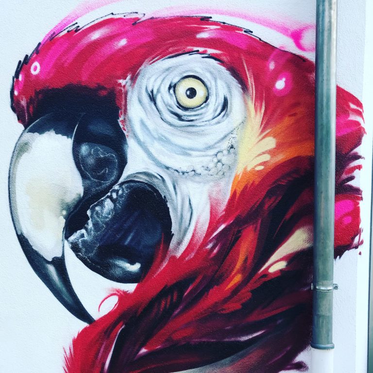 graffitiauftrag-graffitikuenstler-artmos4-tierschutzverein-offenbach-aussen-papagei-tier-vogel-kunst