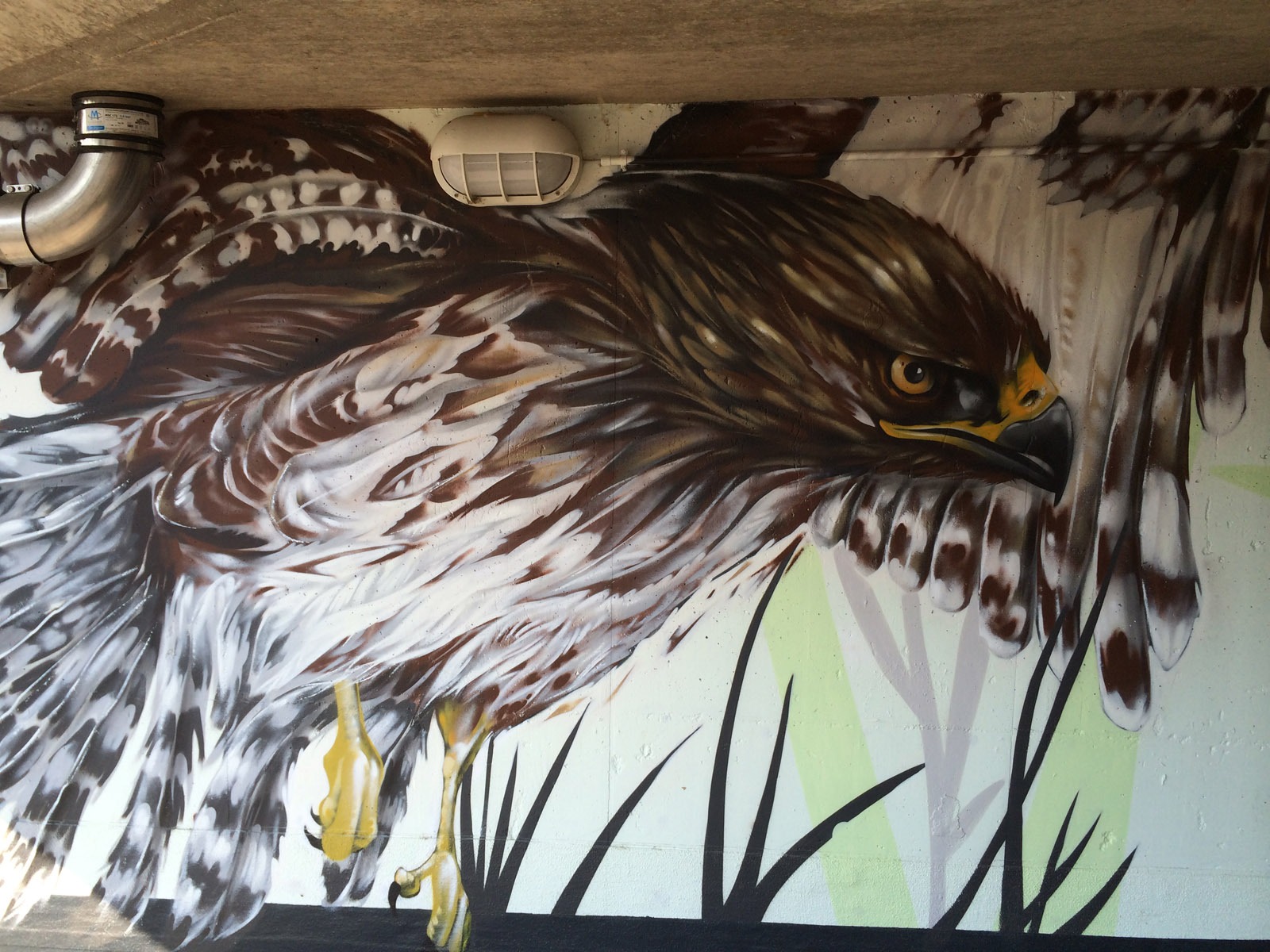graffitikuenstler_graffitiauftrag_artmos4_gemeinde_moemlingen_tier_pflanzen_fotorealistisch_2 graffitikuenstler_graffitiauftrag_artmos4_gemeinde_moemlingen_tier_pflanzen_fotorealistisch_2