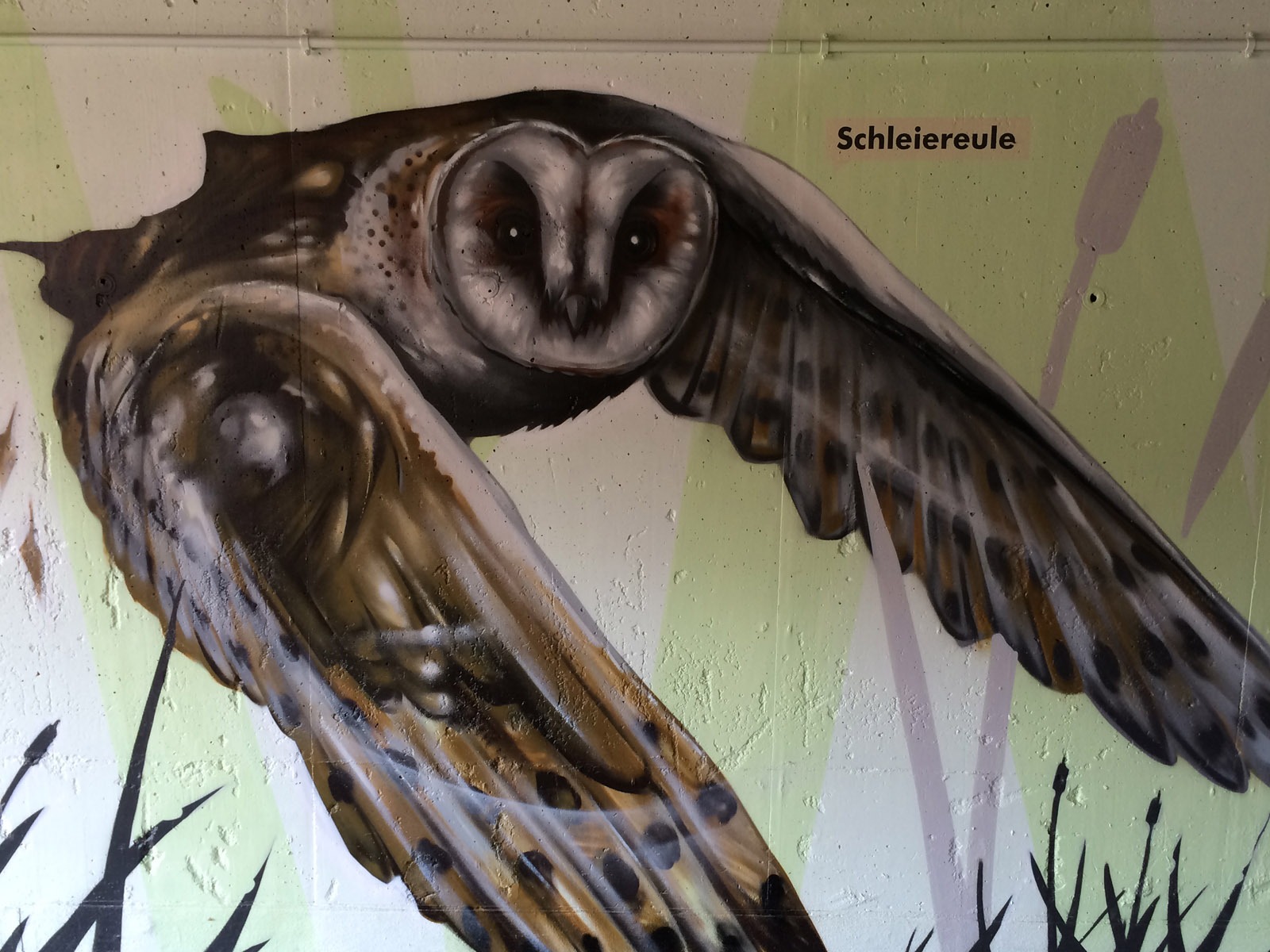 graffitikuenstler_graffitiauftrag_artmos4_gemeinde_moemlingen_tier_pflanzen_fotorealistisch_3 graffitikuenstler_graffitiauftrag_artmos4_gemeinde_moemlingen_tier_pflanzen_fotorealistisch_3