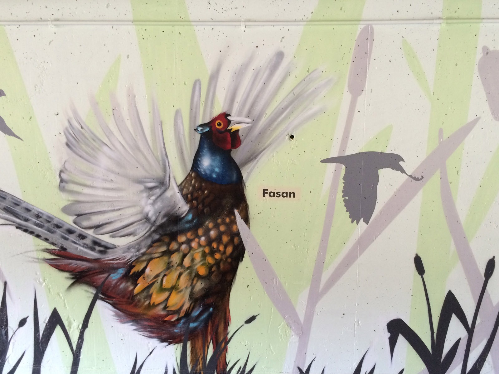 graffitikuenstler_graffitiauftrag_artmos4_gemeinde_moemlingen_tier_pflanzen_fotorealistisch_4 graffitikuenstler_graffitiauftrag_artmos4_gemeinde_moemlingen_tier_pflanzen_fotorealistisch_4