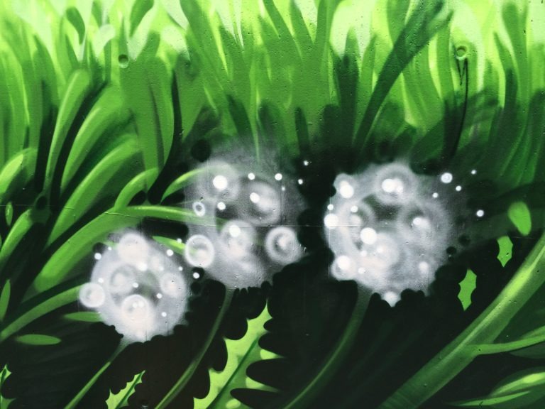 graffitiauftrag-graffitikuenstler-artmos4-deutsche_bahn_2016_hamburg_pflanzen_landschaft_grün_weiß_schrift_aussen_verkehrsbetrieb