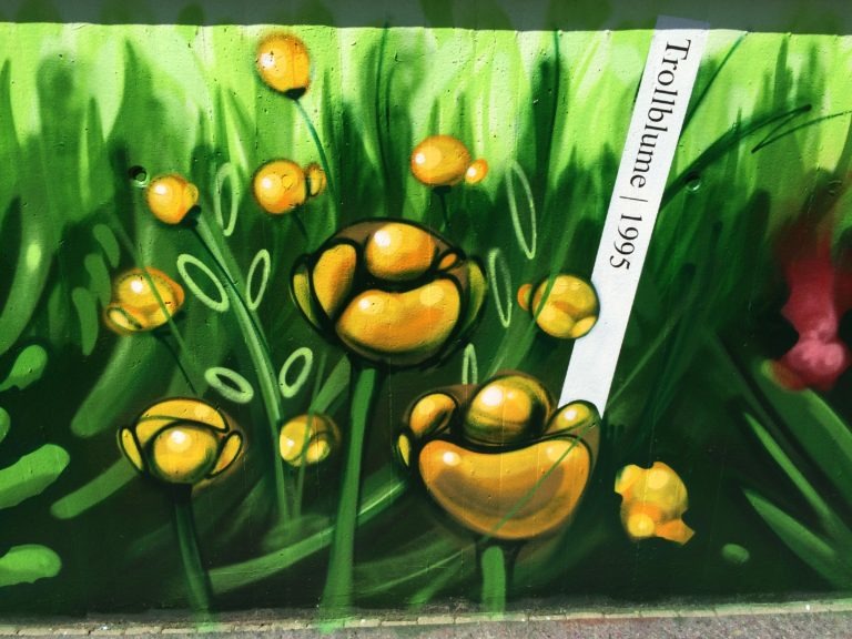 graffitiauftrag-graffitikuenstler-artmos4-deutsche_bahn_2016_hamburg_pflanzen_landschaft_grün_weiß_schrift_aussen_verkehrsbetrieb