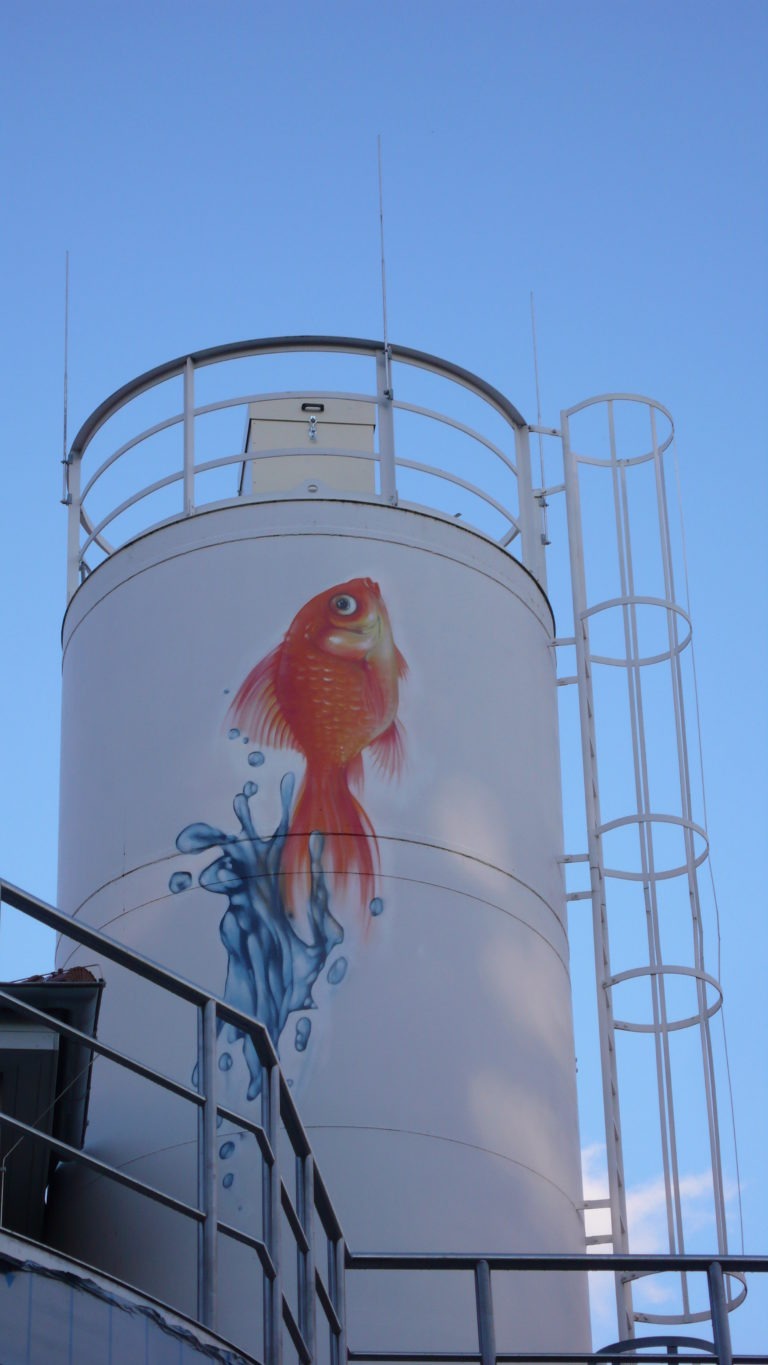 graffitiauftrag-graffitikuenstler-artmos4-abwasserverband_flörsheim_2009_goldfisch_tier_wasser_aussen_orange_blau_fotorealistisch