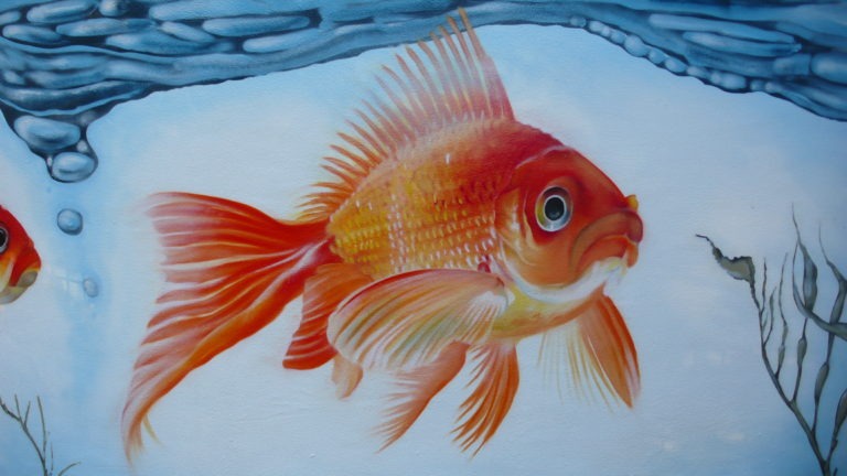 graffitiauftrag-graffitikuenstler-artmos4-abwasserverband_flörsheim_2009_goldfisch_tier_wasser_aussen_orange_blau_fotorealistisch